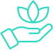 World Class Rehabilitative Care Icon
